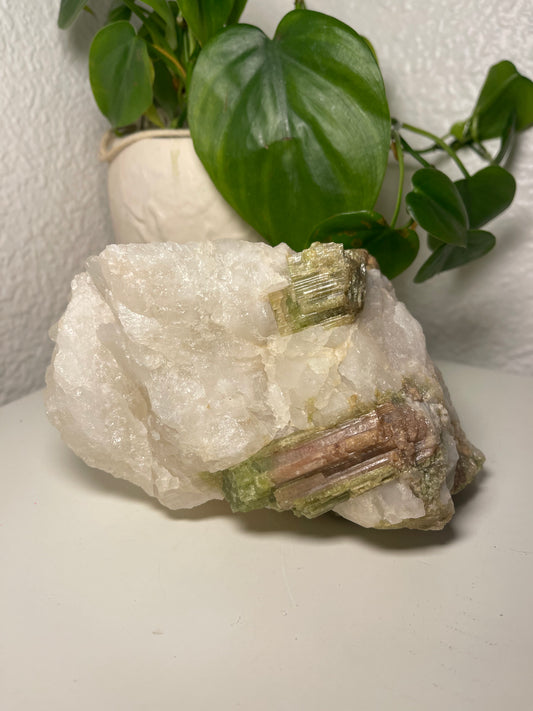 Watermelon Tourmaline Raw Specimen