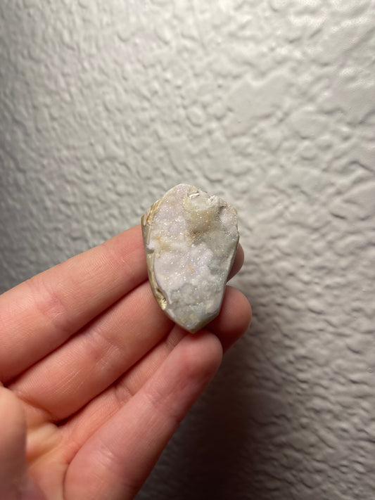 Fossilised Spiralite Quartz Shell