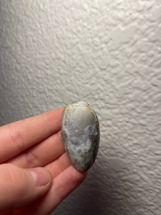 Fossilised Spiralite Quartz Shell